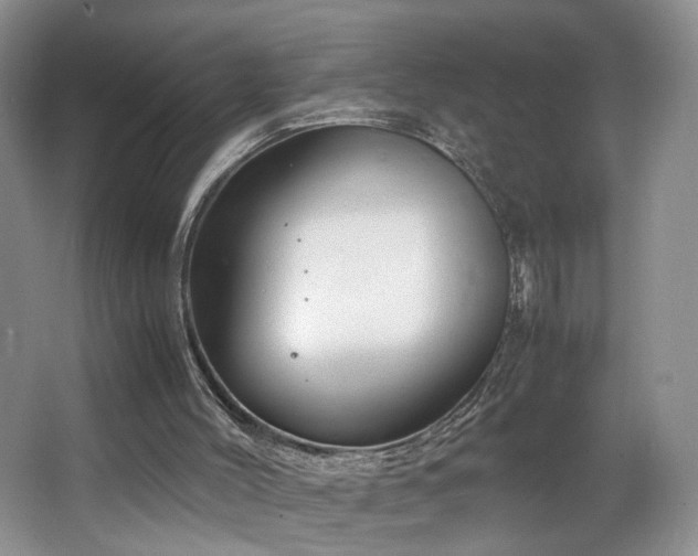 X0000064730004200602101202