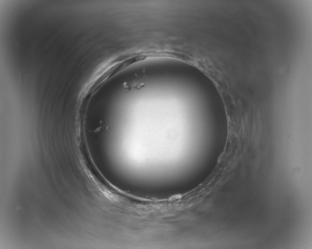 X0000064730005200602101202