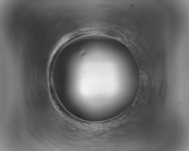 X0000064730006200602101202