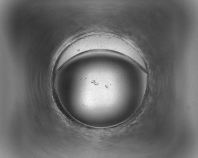 X0000064730007200602101202