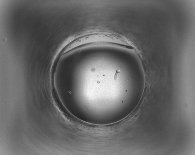 X0000064730008200602101202