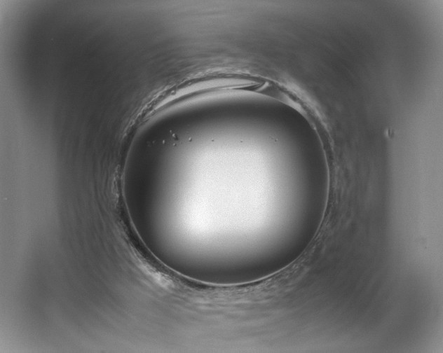 X0000064730009200602101202