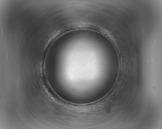 X0000064730010200602101202