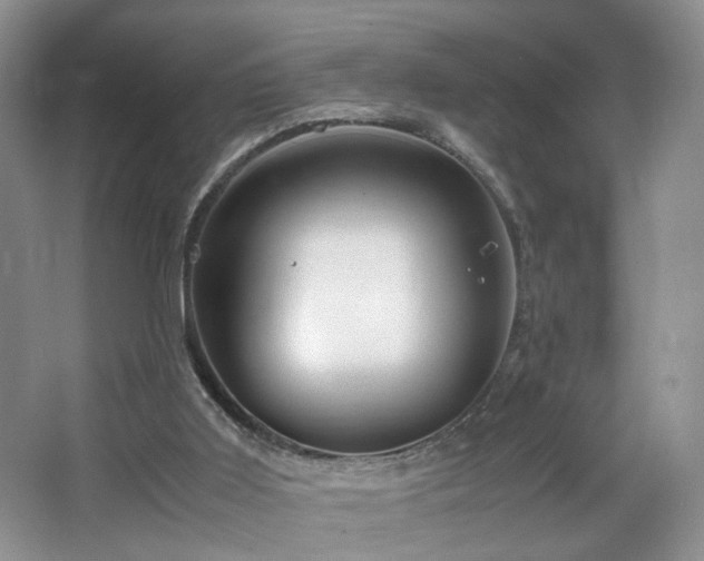 X0000064730011200602101202