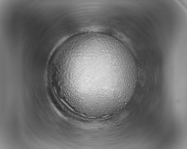 X0000064730012200602101202