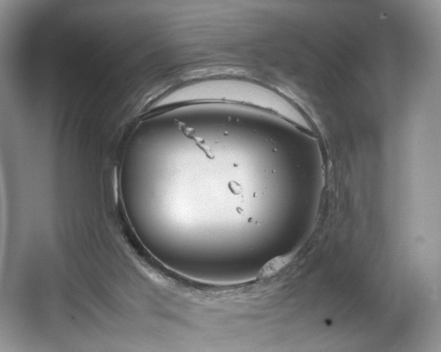 X0000064730013200602101201