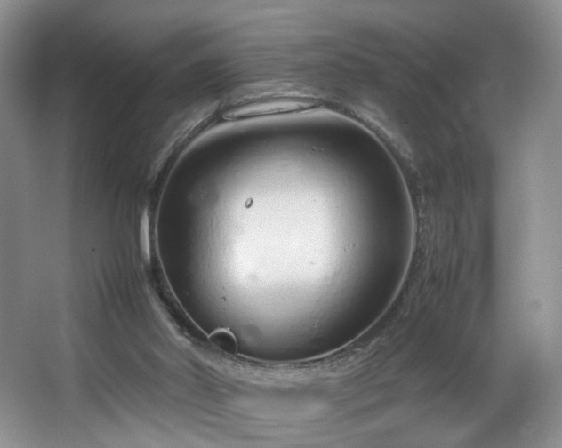 X0000064730014200602101201