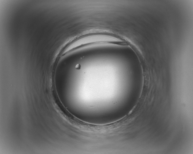 X0000064730015200602101201