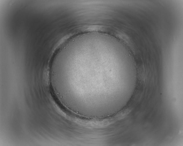 X0000064730016200602101201