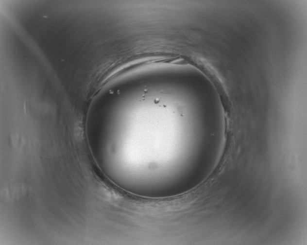 X0000064730017200602101201