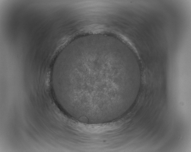 X0000064730018200602101201