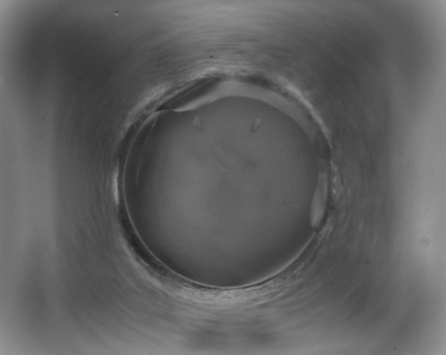 X0000064730019200602101201