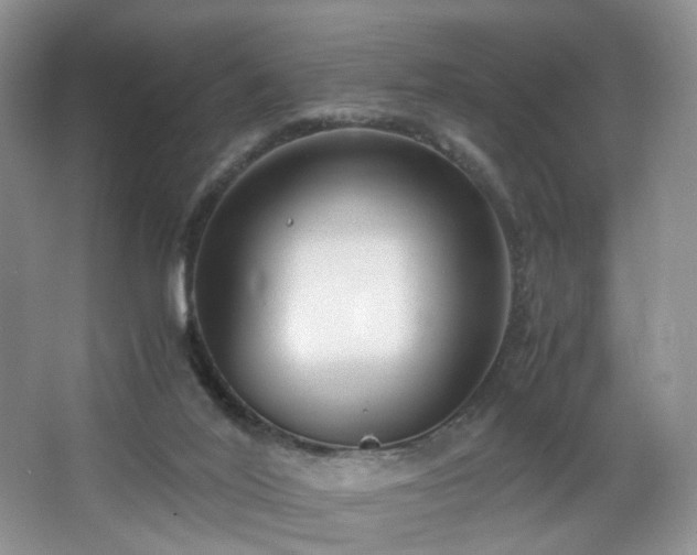 X0000064730020200602101201