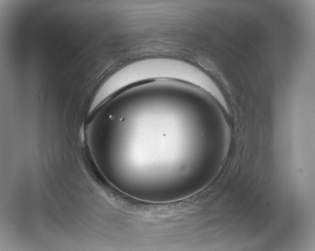 X0000064730021200602101201