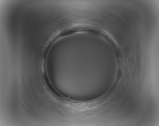 X0000064730023200602101201