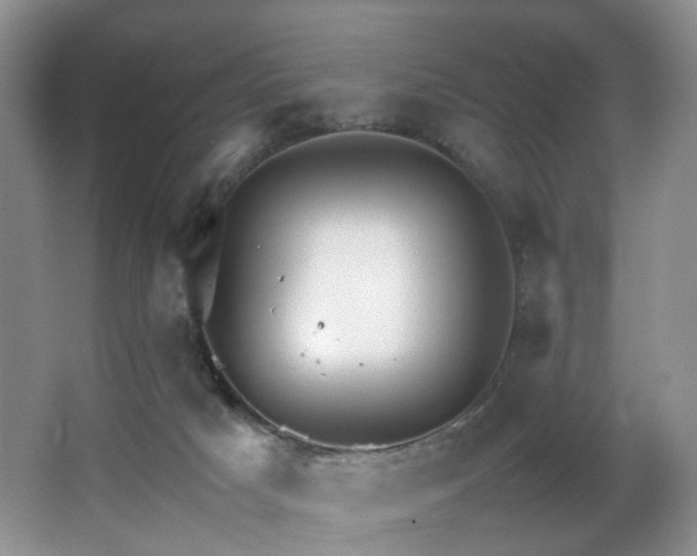 X0000064730025200602101201