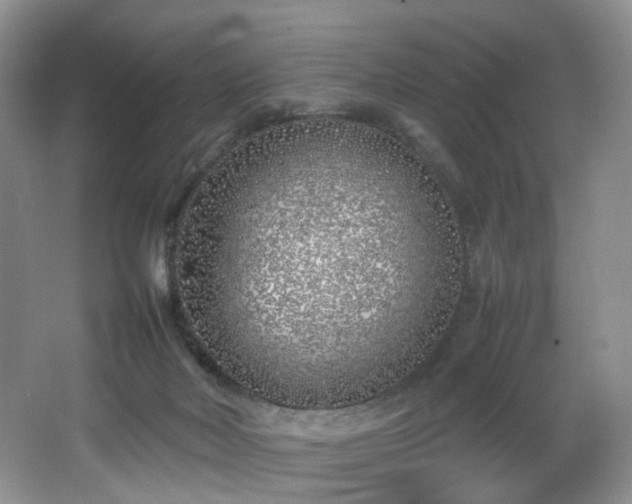 X0000064730026200602101201