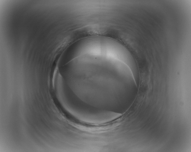 X0000064730027200602101201