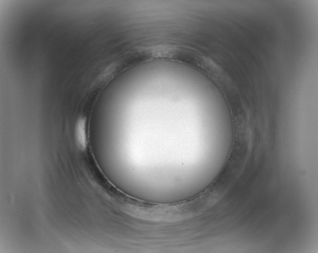 X0000064730028200602101201