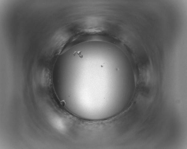 X0000064730029200602101201