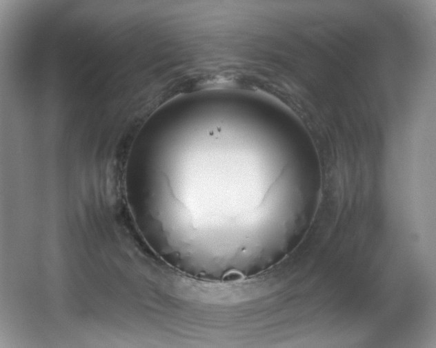 X0000064730030200602101201