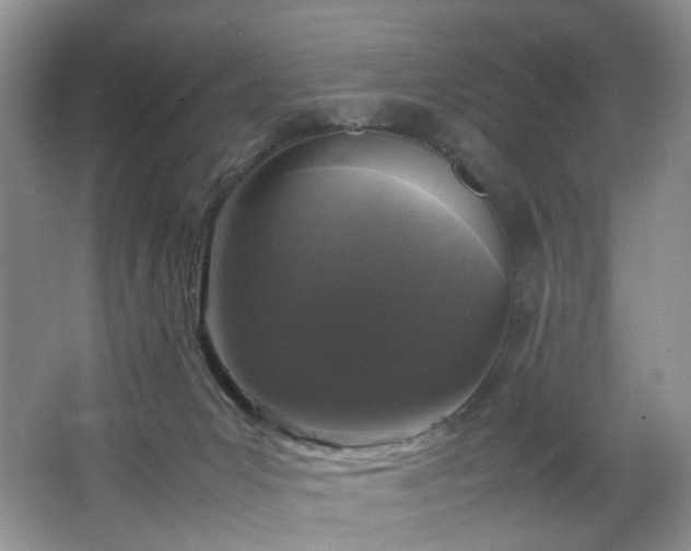 X0000064730031200602101201