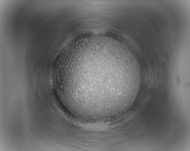 X0000064730032200602101201