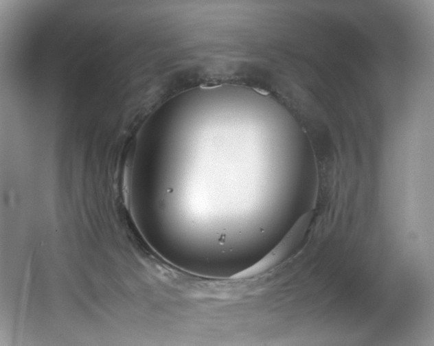 X0000064730033200602101201