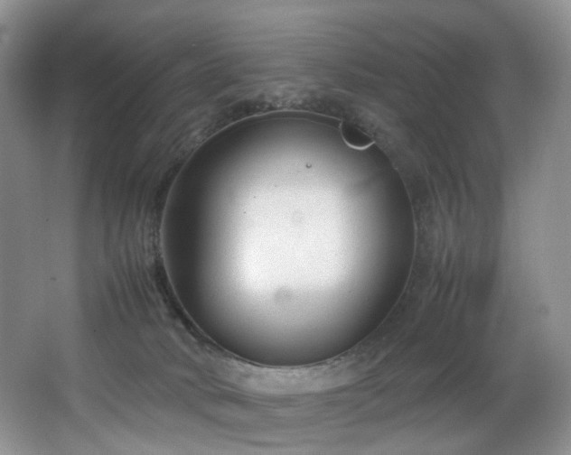 X0000064730034200602101201