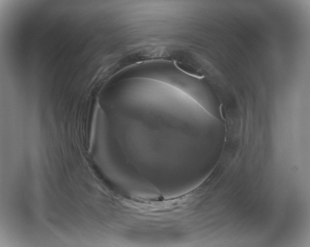 X0000064730035200602101201