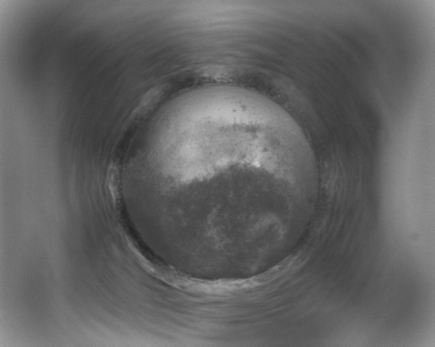 X0000064730036200602101201