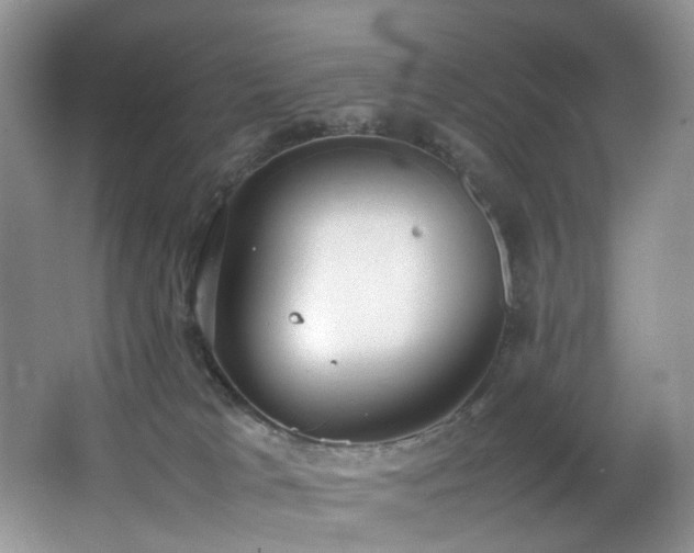 X0000064730037200602101201