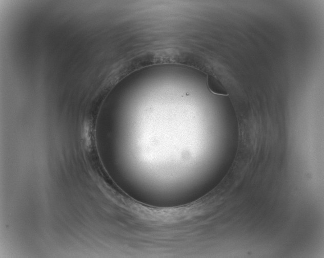 X0000064730038200602101201