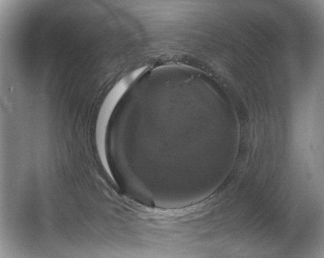 X0000064730039200602101201