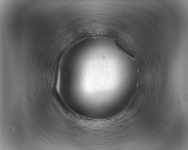 X0000064730040200602101201