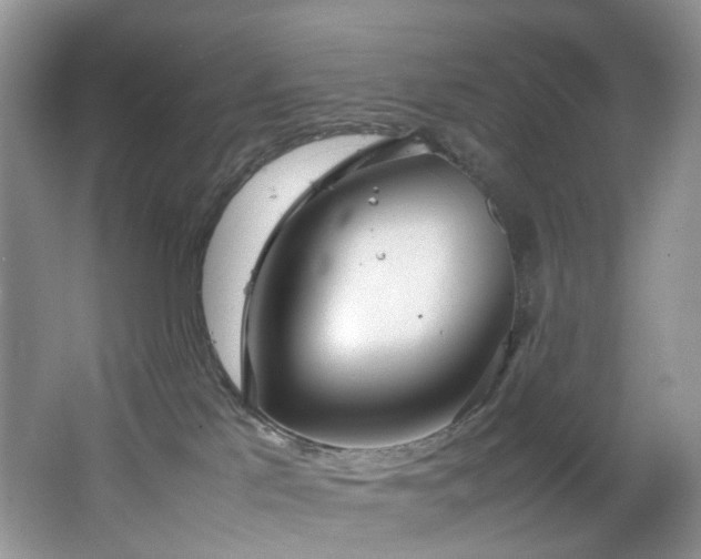 X0000064730041200602101201