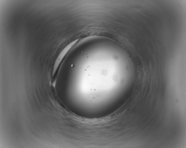 X0000064730042200602101201