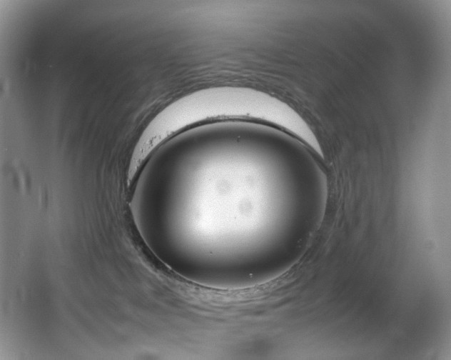 X0000064730043200602101201