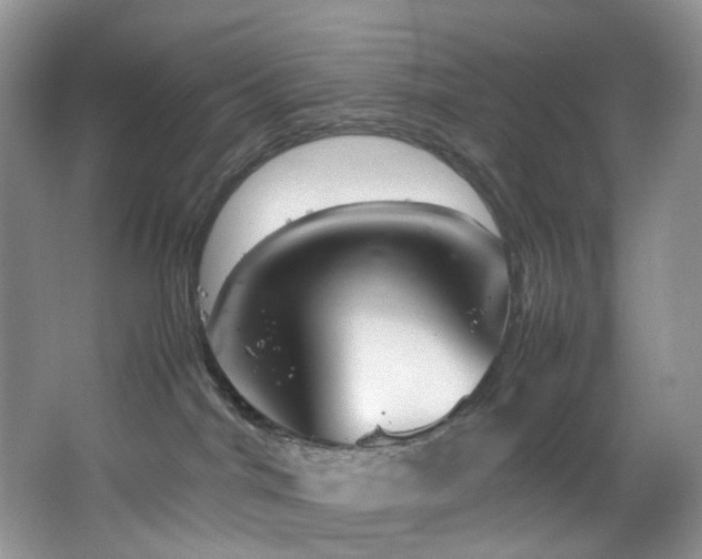 X0000064730044200602101201