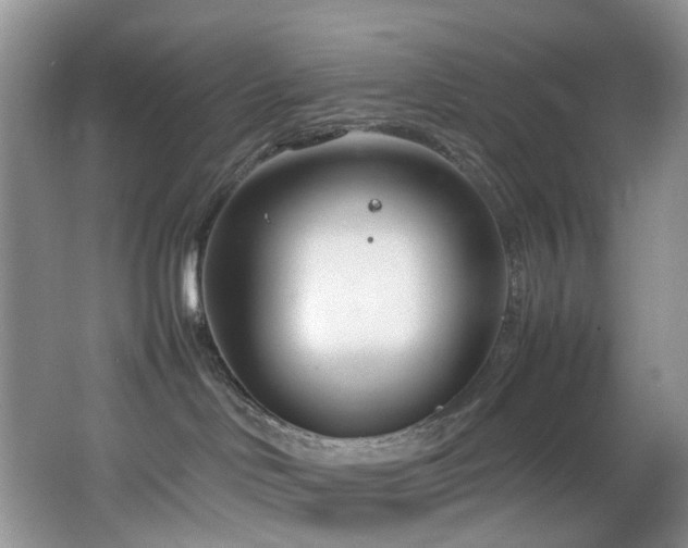 X0000064730046200602101201