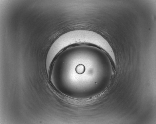 X0000064730047200602101201