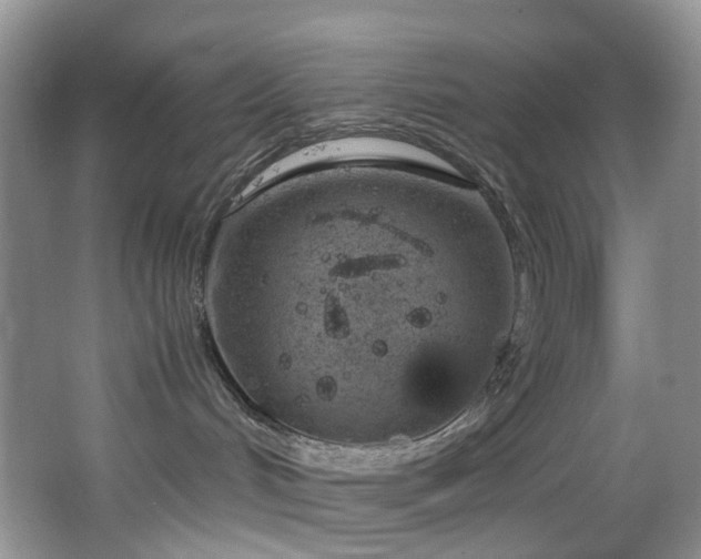 X0000064730048200602101201