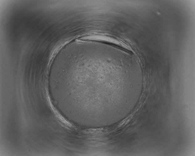 X0000064730049200602101200