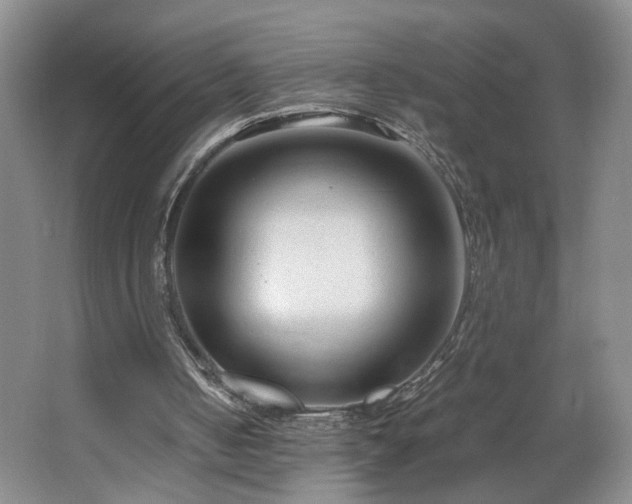 X0000064730050200602101200