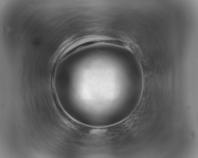 X0000064730051200602101200