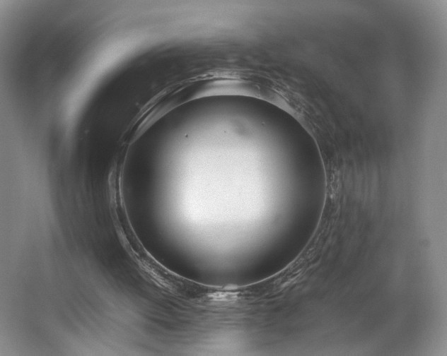 X0000064730052200602101200