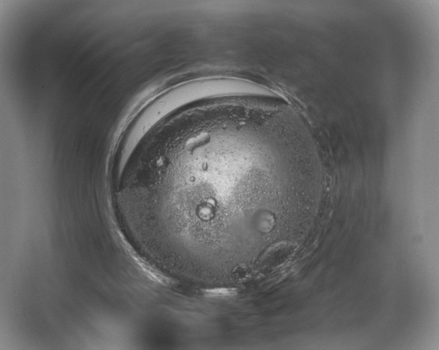 X0000064730053200602101200