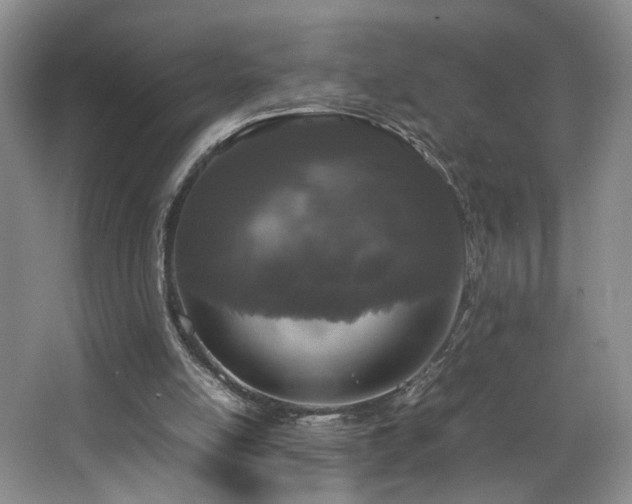 X0000064730054200602101200