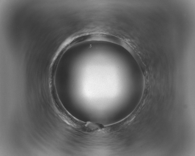 X0000064730056200602101200