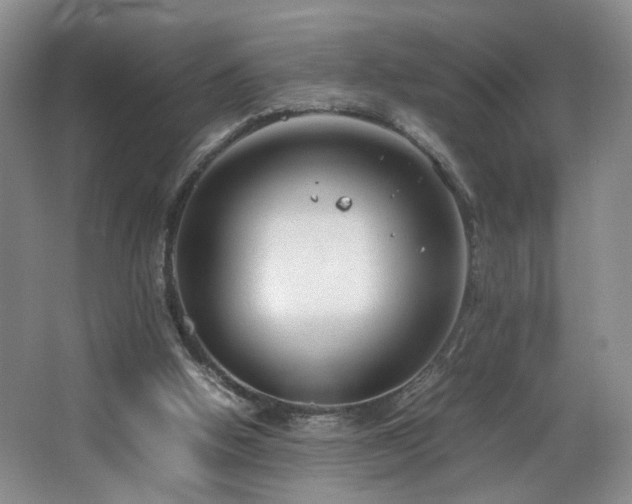 X0000064730058200602101200